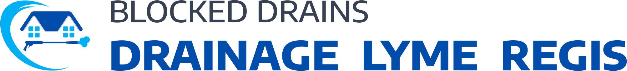 website logo